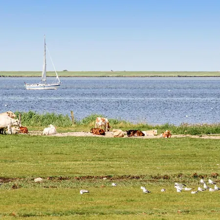 Schwalbennest Semesterbostad